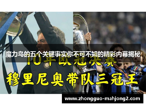 魔力鸟的五个关键事实你不可不知的精彩内幕揭秘