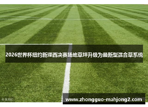 2026世界杯纽约新泽西决赛场地草坪升级为最新型混合草系统